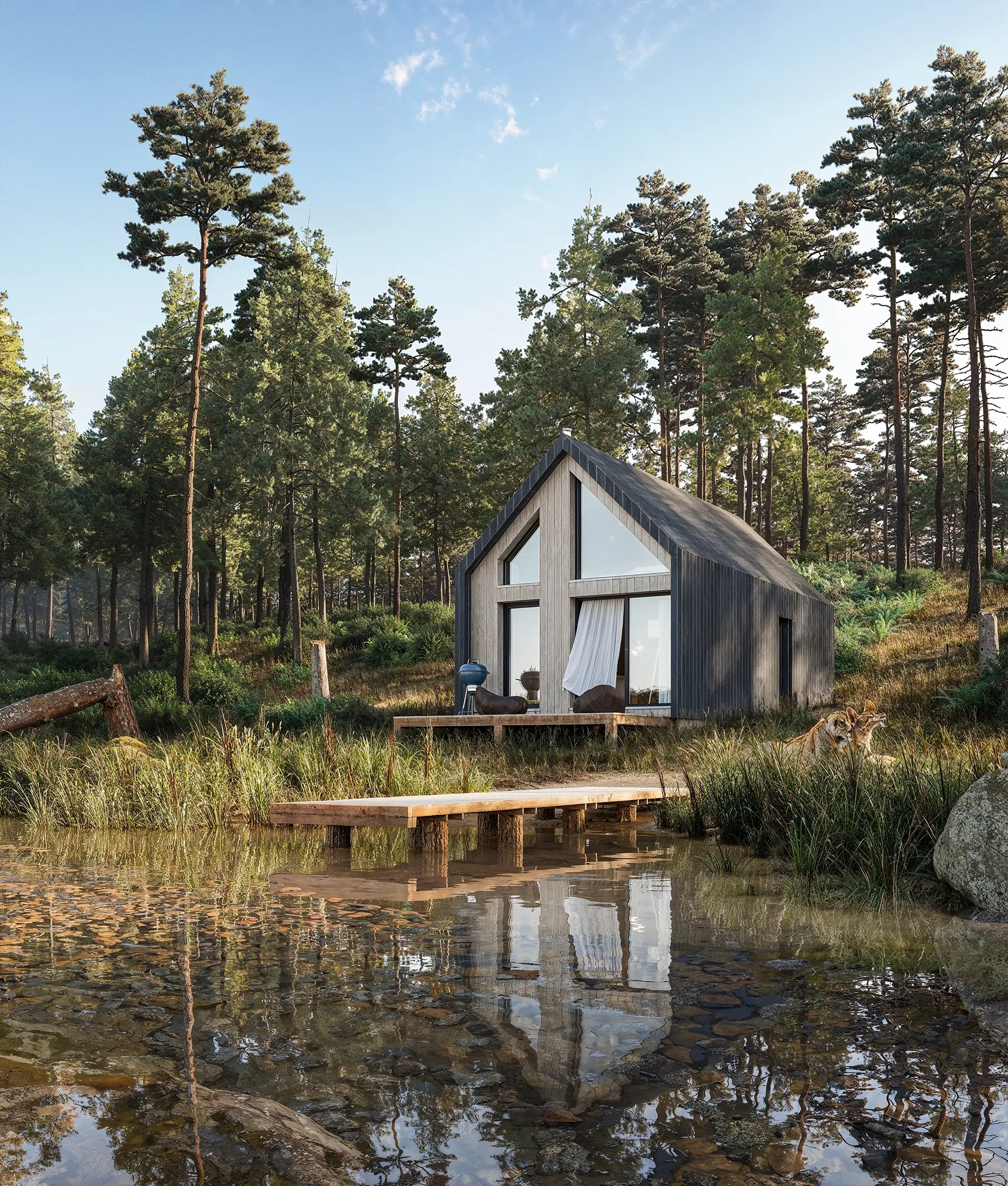 Mini House